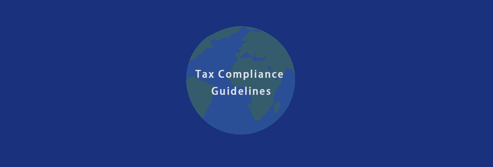 2025 Cross border E-commerce Tax Compliance Guidelines: Model Optimization and Risk Prevention and Control
